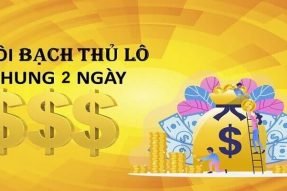 Nuôi bạch thủ lô khung 2 ngày miễn phí chiến thắng bất bại