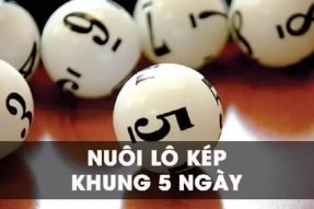 Nuôi lô kép khung 5 ngày chính xác, tỉ lệ trúng thưởng cực cao