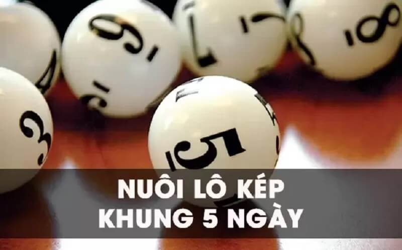 Chiến thuật nuôi lô kép hiệu quả