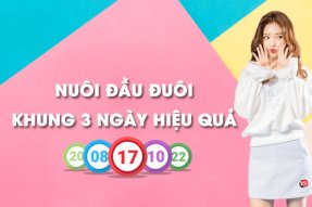 Nuôi đầu đuôi khung 3 ngày siêu VIP, chính xác 100%, đẹp nhất hôm nay