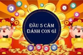 Đầu 5 câm hôm sau nên đánh lô gì chính xác dễ dàng trúng lớn