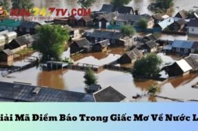 Giải mã giấc mơ thấy nước lũ mang đến điềm báo tốt hay xấu?