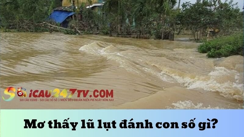 Mơ thấy lũ lụt đánh con số gì? 