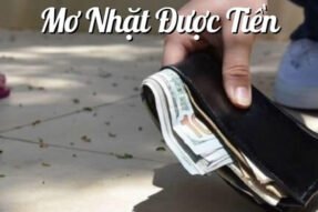 Khám phá giấc mơ nhặt được tiền sẽ mang đến điềm báo tốt?