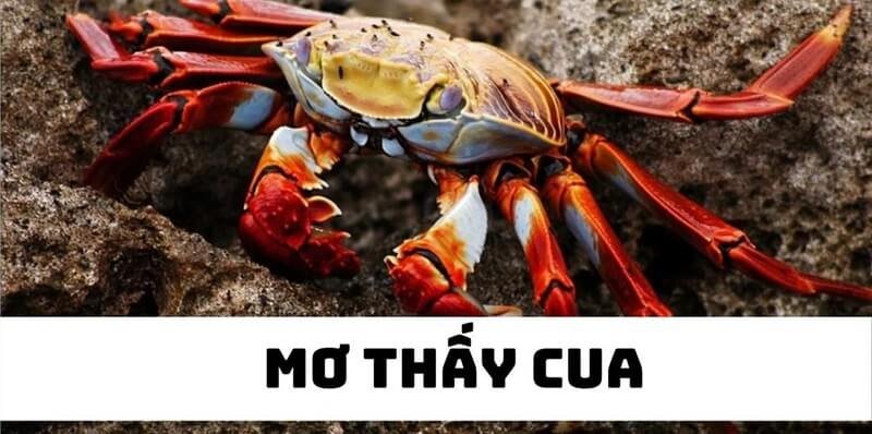 Giải mã giấc mơ thấy cua