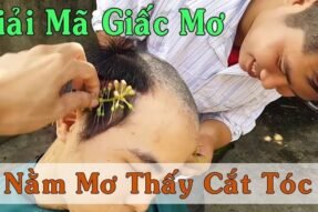 Khi bạn có một giấc mơ thấy cắt tóc sẽ mang đến điềm báo gì?