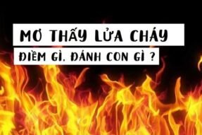 Ý nghĩa của giấc mơ thấy lửa là gì? Đánh con số gì may mắn?