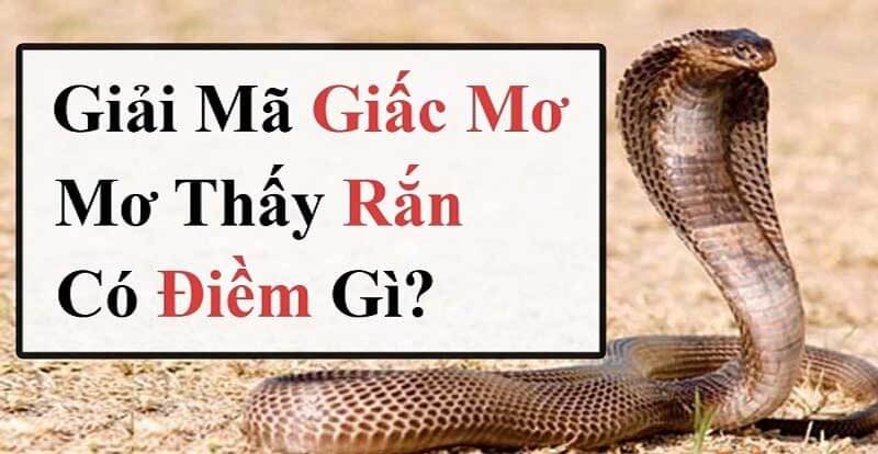 Khái quát về giấc mơ thấy rắn trắng  