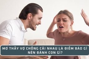 Giải mã giấc mơ thấy 2 vợ chồng cãi nhau báo hiệu điều gì?