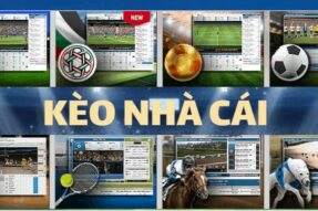 Giải mã kèo nhà cái – Bí kíp đọc tỷ lệ kèo chuẩn xác