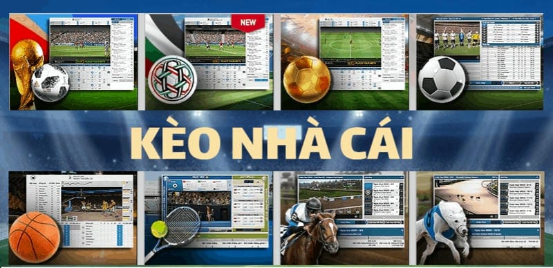 Biến động kèo để giải mã kèo nhà cái chính xác