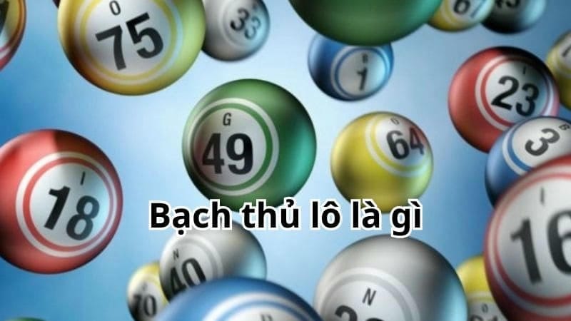 Tìm hiểu bạch thủ lô là gì?