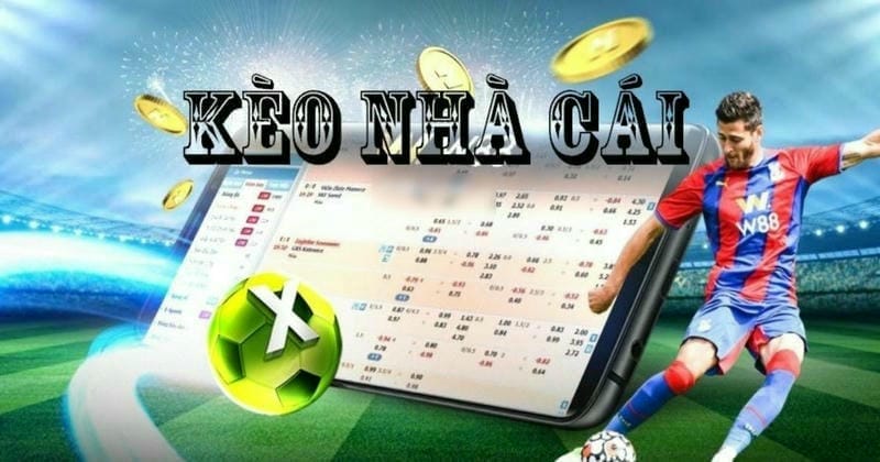 Bảng tỷ lệ kèo để giải mã kèo nhà cái dễ hiểu