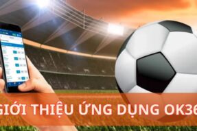 Giới Thiệu Ứng Dụng OK365 – Cá Cược Mọi Lúc, Mọi Nơi
