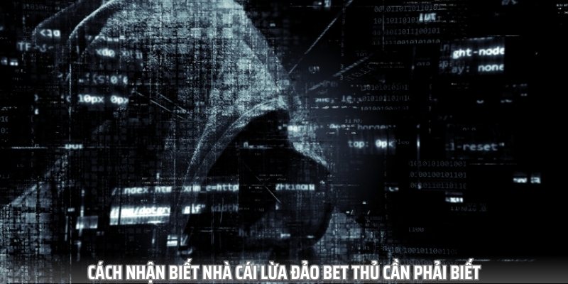 Để biết đâu là những nhà cái uy tín tại Việt Nam bạn phải quan sát nhiều yếu tố