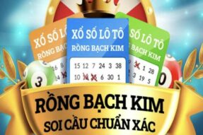 Tất tần tật về hệ thống SOI CẦU RỒNG BẠCH KIM đẳng cấp
