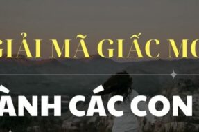 5 lưu ý quan trọng khi giải mã giấc mơ lô đề mà người chơi có thể chưa biết