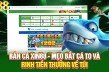 Bắn Cá Xin88 – Mẹo Bắt Cá To Và Rinh Tiền Thưởng Về Túi