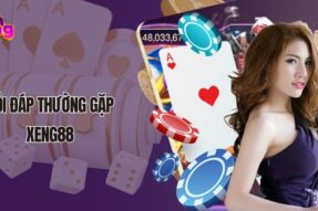 Những đặc quyền hấp dẫn dành cho hội viên VIP tại Xeng88 – cổng game bài đổi thưởng chiều người chơi như thượng đế