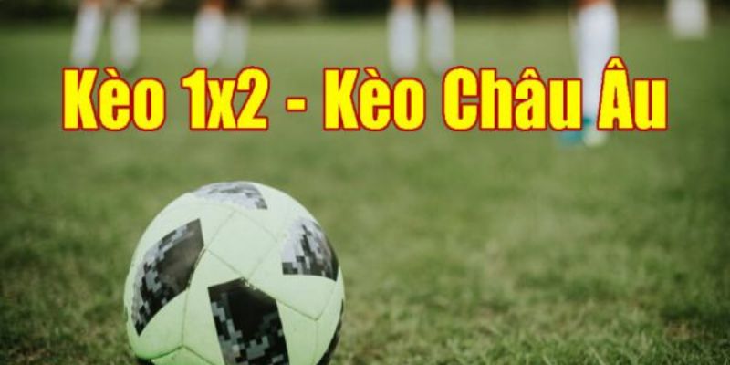 Lý do kèo châu Âu BONGDAKO hấp dẫn người chơi