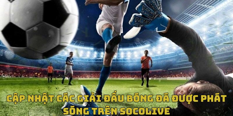 Tổng hợp các giải đấu hàng đầu