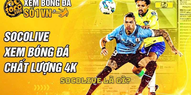 Giới thiệu chuyên trang xem bóng đá socolive
