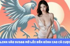 Link Vào SV388 – Cánh Cổng Thống Lĩnh Thế Giới Cá Cược