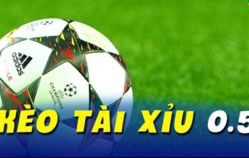 Cá Cược Tài Xỉu Bóng Đá – Khám Phá Thế Giới Hấp Dẫn Và Chiến Lược Thắng Lợi