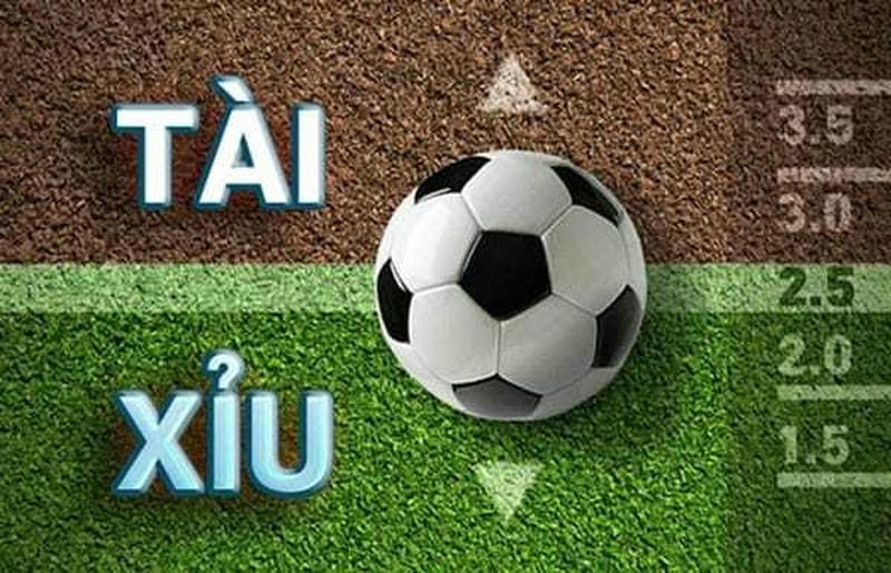 Phân Tích Chiến Lược Cá Cược Tài Xỉu Bóng Đá Hiệu Quả