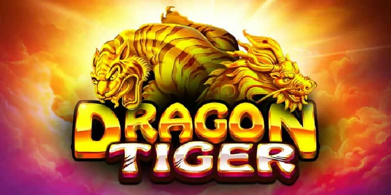 Quản lý vốn và cảm xúc khi chơi Rồng Hổ tại RR88