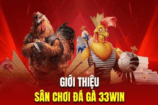 Đá Gà 33win – Thế Giới Đấu Trường Gà Cực Hấp Dẫn Dành Cho Cao Thủ Cá Cược