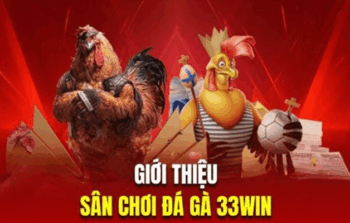 Đá Gà 33win – Thế Giới Đấu Trường Gà Cực Hấp Dẫn Dành Cho Cao Thủ Cá Cược
