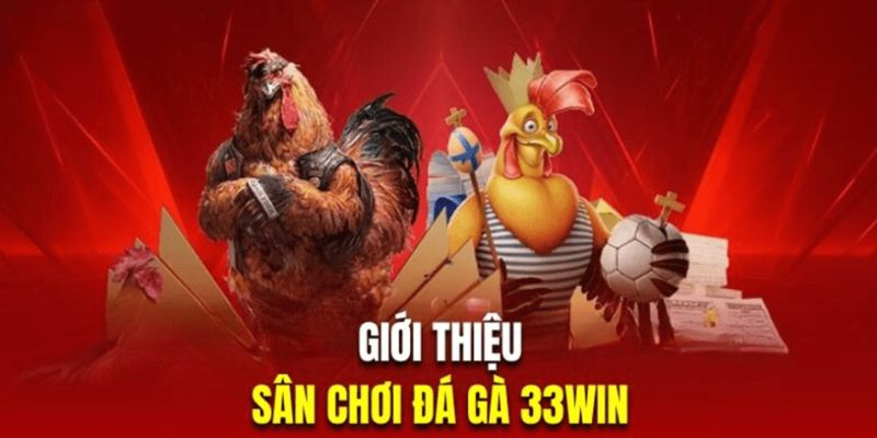 Những Lý Do Khiến Đá Gà 33win Trở Thành Xu Hướng Cá Cược