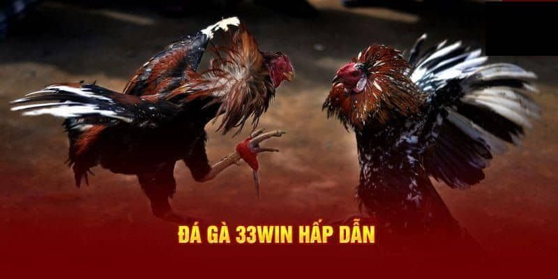 Cách Tham Gia Đá Gà 33win Chỉ Trong 3 Bước