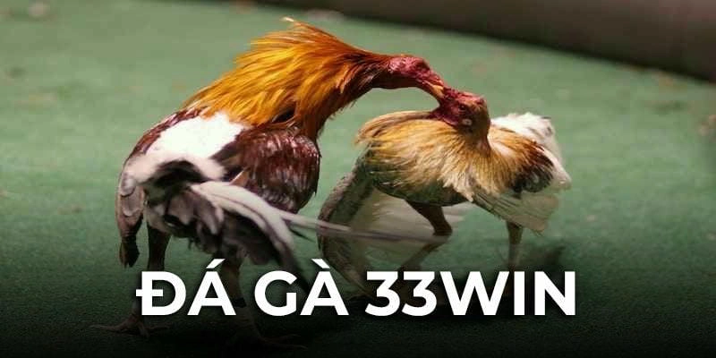Ưu Đãi Đặc Biệt Khi Cá Cược Đá Gà Tại 33win