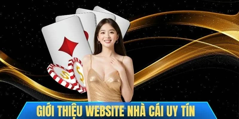 Lý do PK88 được nhiều người lựa chọn