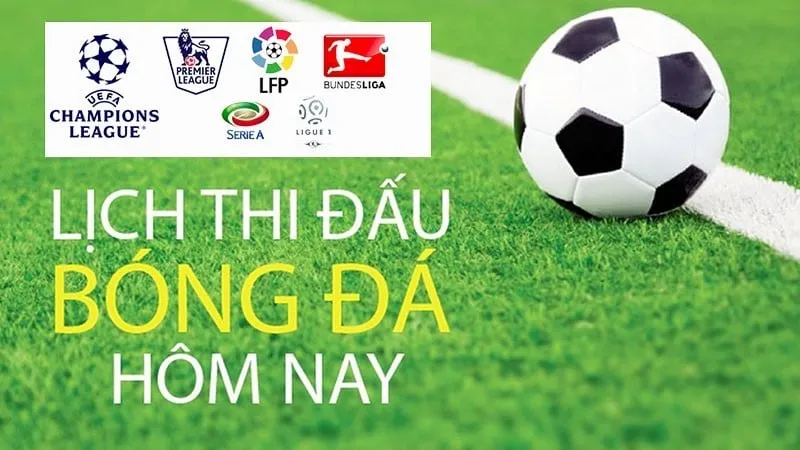 Hệ thống hiển thị thông minh, dễ tra cứu