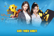 Nhà Cái SHBET – Điểm Đến Cá Cược Uy Tín Và Đa Dạng