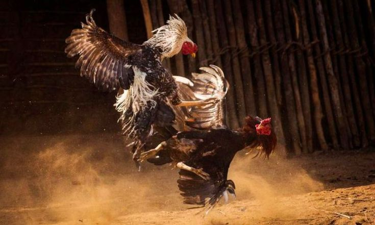 Giao diện trang chủ Ga179 có gì nổi bật?