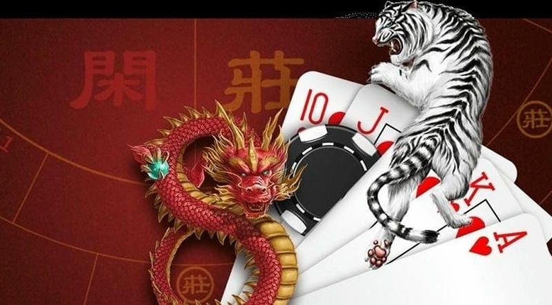 Nguyên tắc cơ bản giúp nâng tỷ lệ thắng khi chơi rồng hổ