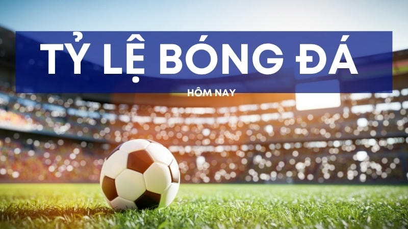 Lịch thi đấu bóng đá và tỷ lệ thắng giúp soi kèo tỷ số hiệu quả.