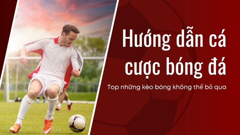  Tỷ lệ bóng đá cho thấy Brighton có dấu hiệu phong độ ảo.