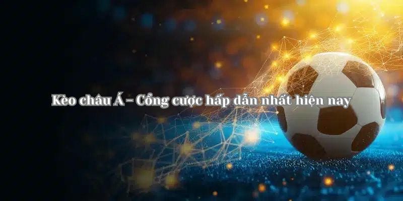 Chiến thuật cao tay để tối ưu lợi nhuận dài hạn