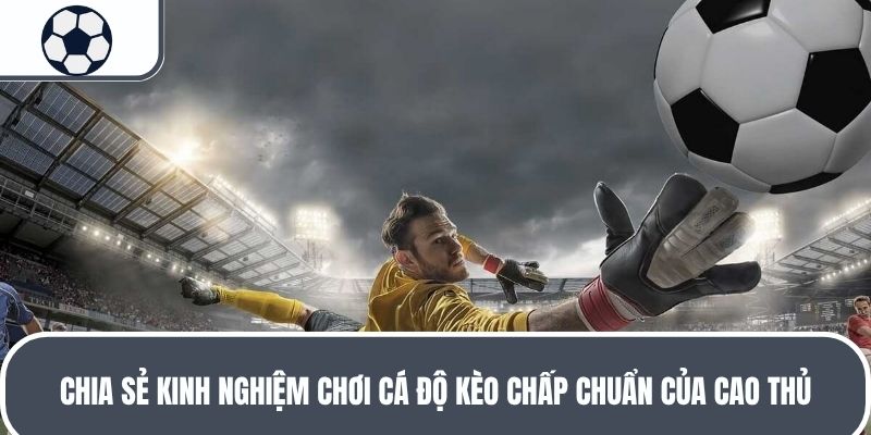Chia sẻ kinh nghiệm chơi cá độ kèo chấp chuẩn của cao thủ