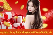 Khuyến mãi tri ân – Chiến lược giữ chân khách hàng và nâng tầm thương hiệu