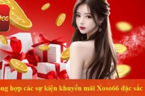 Khuyến mãi tri ân – Chiến lược giữ chân khách hàng và nâng tầm thương hiệu