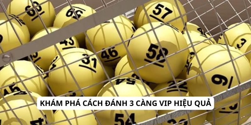Khám phá cách đánh 3 càng VIP hiệu quả