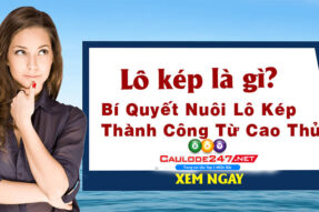 Chia sẽ bíp kíp cách soi cầu lô kép 366 hiểu quả cho người mới chơi