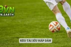 Soi kèo 69vn – Khoa học của con số, nghệ thuật của… trái tim