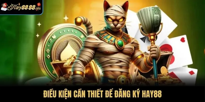 Điều kiện cần thiết để đăng ký HAY88